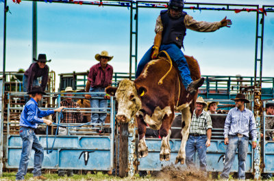 rodeo2012-1.jpg