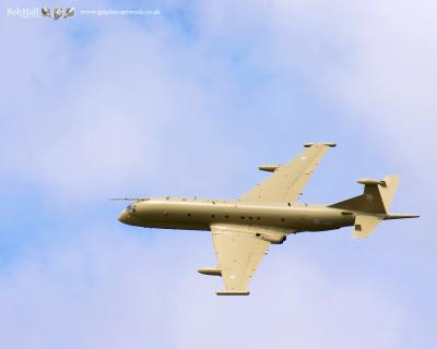 g4/33/484533/3/61177759.Nimrod.jpg