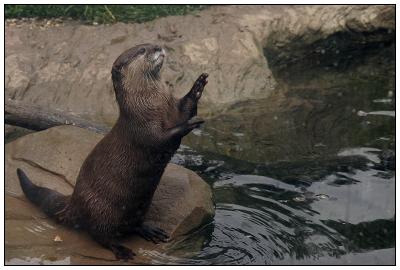 sealife_centre