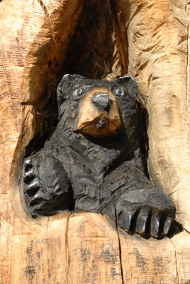 Carved Bear, Arizona
