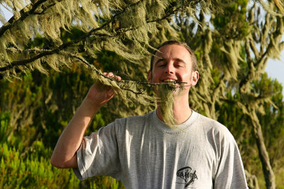 Moss beard