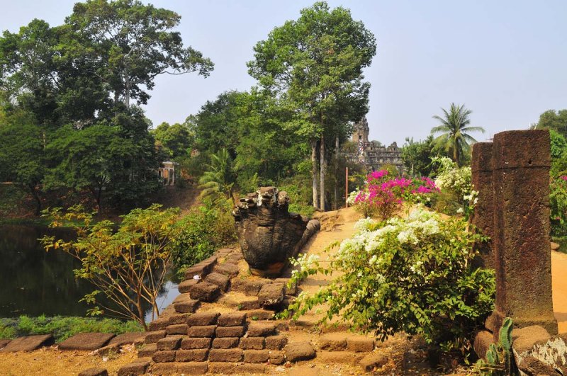 Le Bakong vu des jardins