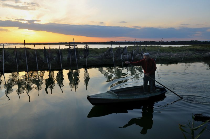 camargue