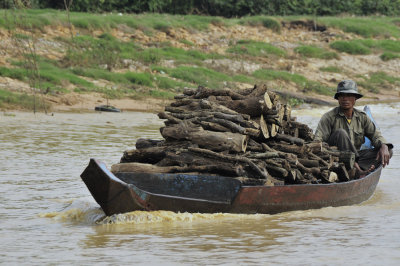 transport de bois sur le lac Tonl Sap