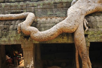 le TA PHROM