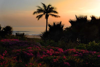 golf en casamance