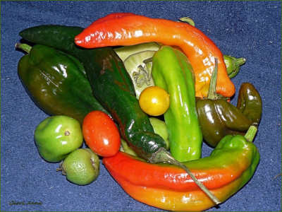 Garden  Peppers
