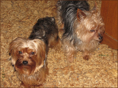 Timmy with Tiggy getting ready to go catch Tedley