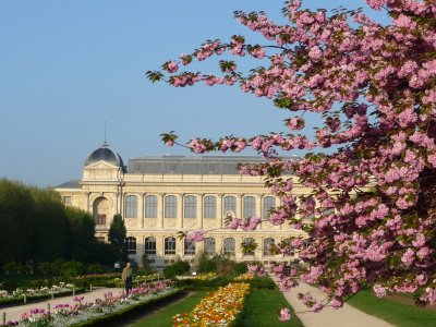 Jardin des Plantes in April