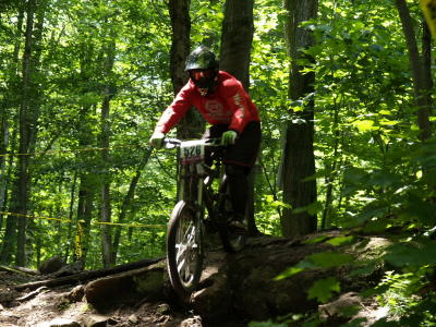 P7020945_800x600.jpg