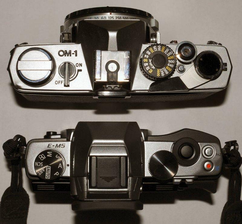 Olympus OM-D E-5M versus OM-1.jpg