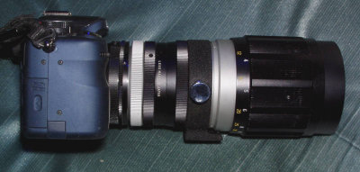 Old Tokina 200mm f3.5 telephoto on Panasonic G1.jpg