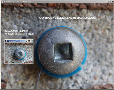 Olympus 12-50mm close-focus ability.jpg
