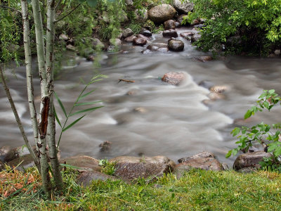 River in rain.jpg