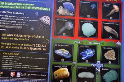 Know your jellyfish!