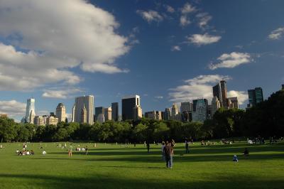 Central Park, Sheep Meadow