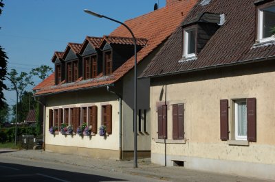 DSC_0925.JPG