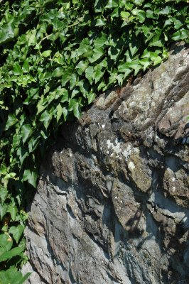 DSC_0932.JPG