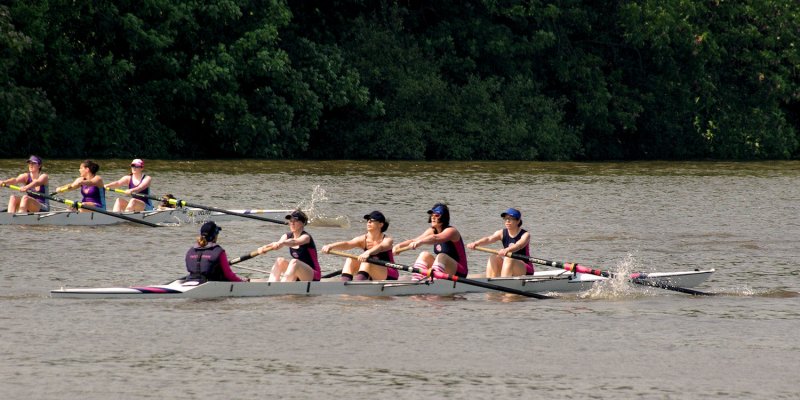 2011 - Chiswick Regatta - IMGP6525