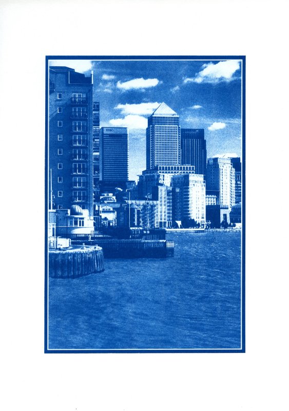 2012 - February - cyanotype029