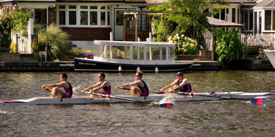 2011_walton_regatta