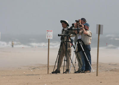 p0_43_Birders.jpg