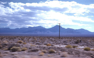 Vegas209.jpg