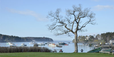 Maine weekend, late April, 2011