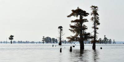 Lake Santee