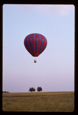 montgolfiere avec arbres.jpg