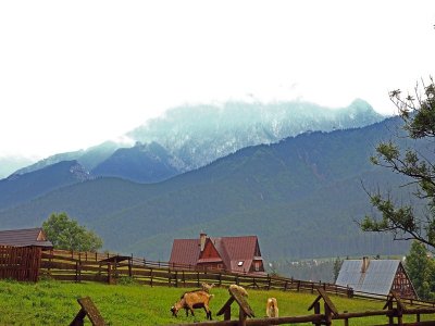 Koscielisko Mountain scene.pb.jpg