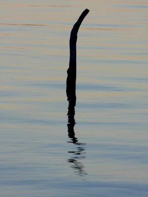 The Bent Post.pb.jpg
