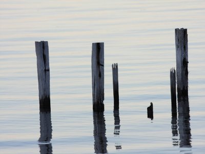 The Posts in Still Water.pb.jpg