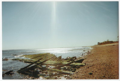 The Remains of a Scow on Barats (Annadale) Beach
