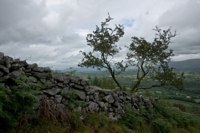 From Brandon Hill