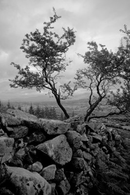 From Brandon Hill .