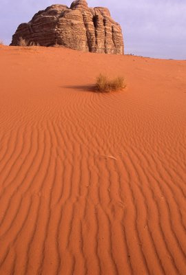 Sand Ripples