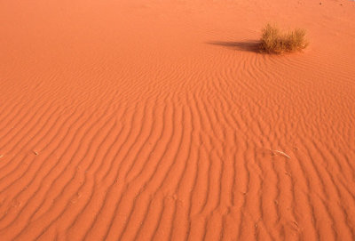 Sand Ripples