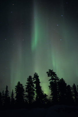 Northern Light