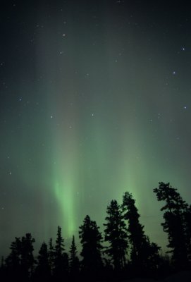 Northern Light