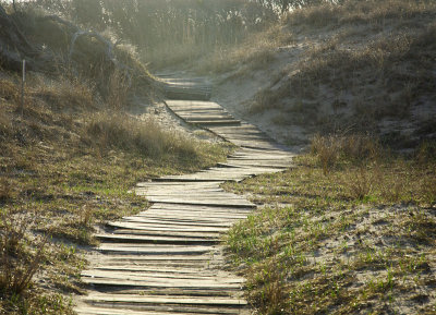 Path to the ocean