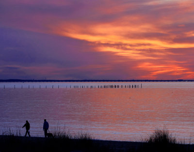 Reflective colors on the Bay