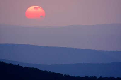 The Summer Sun