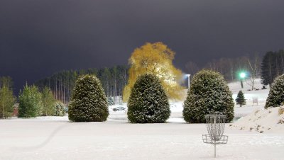 Night - Trees and Snow