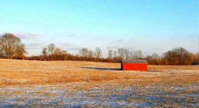 Cattle Shelter in Winter