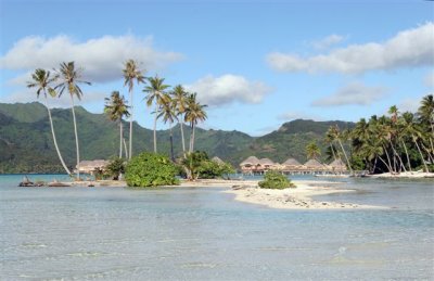 Tahaa