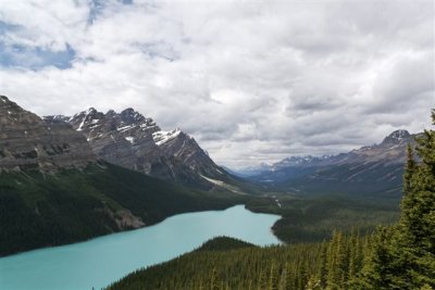 Peyto Lake