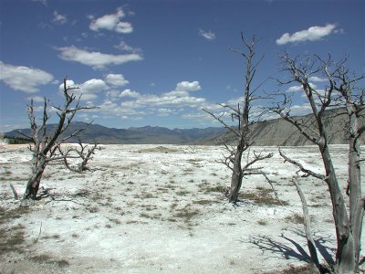 Yellowstone National Park (Wyoming)