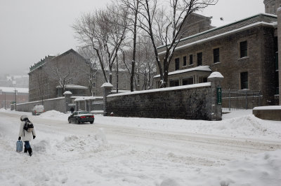 Avenue des Pins durant la tempte