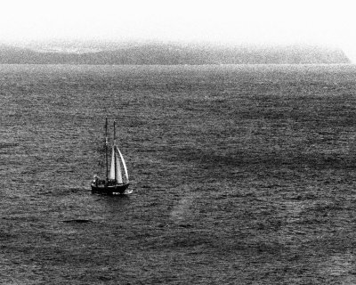 Sailing along the coast of Avalon